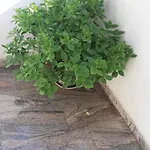 Apartamento Lorena With Sea View